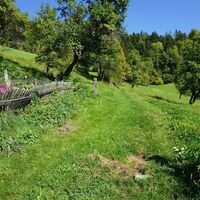 Wegmarkierungen begleiten uns und zeigen wo es weiter geht.