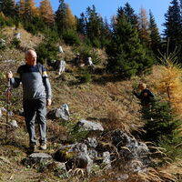 Altenbergsteig - Heukuppe