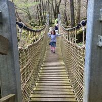 Kind auf der Affenbrücke