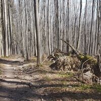 19.2 km "Urwald" Spadenberg