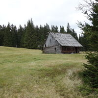 am Rückweg auf der Pfaffenalm