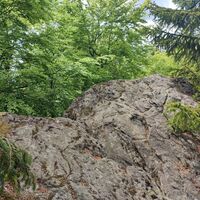 Höchster Punkt der Kleinen Kanzel ohne Aussicht