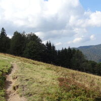 Familienausflug zum Ballon d'Alsace