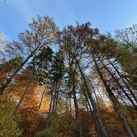 Herbstimpressionen auf dem VitalWeg 5 und 22 auf der Hube 
