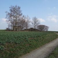 Der Kohlberg bei Hohentanne