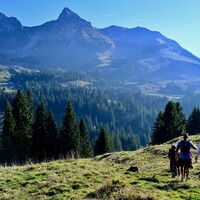 Wiesenweg - Selibühl Trailrun