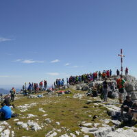 Gipfelidylle... aber es wurde Interessantes über die Errichtung des Kreuzes erzählt