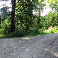 Salzgitter_Wanderweg23_HD_16zu9.JPG