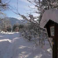 Winterlandschaft Kramsach Hilaribergl