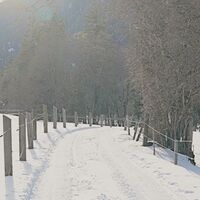 Winterwanderweg Vättis - Kunkels
