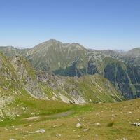 das wuchtige Geierhaupt
