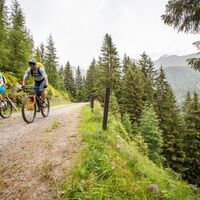 MTB Osttirol_Feldweg_Haiden Erwin (bikeboard.at).jpg