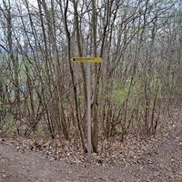 Abstieg zum Parkplatz