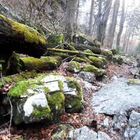 Märchenhafte Landschaft unterhalb des Gipfels