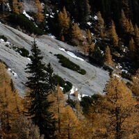 Altenbergsteig - Heukuppe