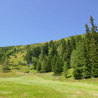 im Herrschaftskranz