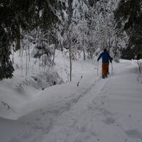 Stockweid - Schneeschuhtrail Obergurnigel (114)