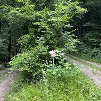 .. beide Wege führen zur Ochsenburger Hütte, diese Tour geht aber links weiter