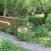 Brücke im Auwald