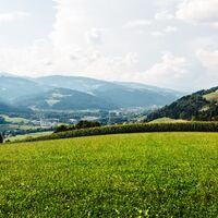 Blick von Schiefling aus