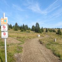 Route 50 - Wexl Trails