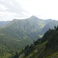 Perwurzpolster - Perwurzgupf - Zinkenkogel