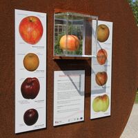 BIO-Apfel con Funghi; Natur- und Kulturerlebnisweg "Zukunft spazierendenken"