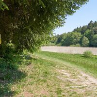 Wue4 17052020 19 Wolfram Linnebach