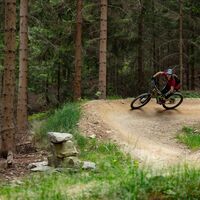 Flowtrail by Wexl Trails #6