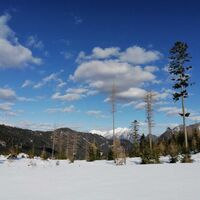 Natur und Ruhe