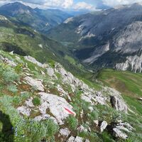Franz-Fischer-Hütte - Stierkarkopf