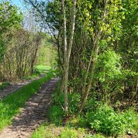 Untere Einfahrt der aufgelassen Bodenaushubdeponie