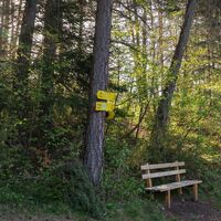 Reith Wiesenweg im Frühling - Pausenbank mit Wegweisern und Sonnenstern.jpg