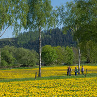Wandern im Sorpetal
