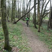 Zaubertrail bei Schwarza
