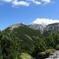 Mitteralmriegel