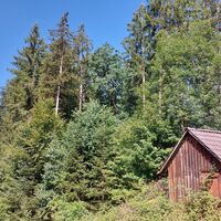 Landschaft beim Brandhof