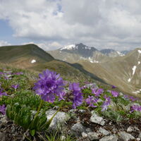 Schwaigerhöhe, Seckauer Zinken und Hämmerkogel im Blick