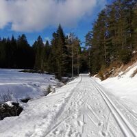 Langlaufgenuss auf der Loipe Fadental - Schnittlermoos