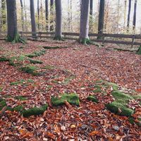 Hohe Schanze