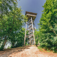 Aalbäumle Aalen