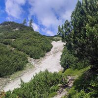 Querung nach links in die Latschen