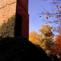 Die Burgruine Liebeneck im Herbst