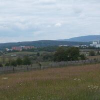 Blick auf Bad Salzungen