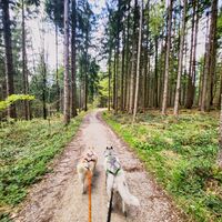Wanderung Oberwarngau Taubenberg