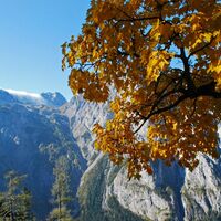 Die Riegerin (1939 m) aus dem Brunntal