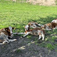 .. an tiefenentspannten Youngsters vorbei ..