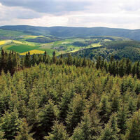 Blick vom Dommel