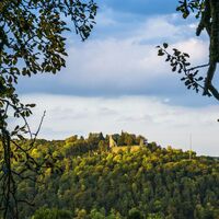 Blick auf die Burgruine Hohennagold