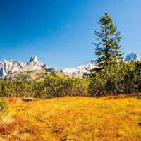 Blick zur Bischofsmütze